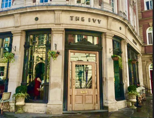 The Ivy